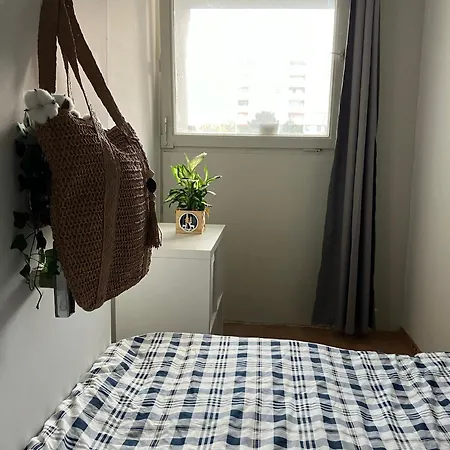 Homestay Easy Travel To Frankfurt *